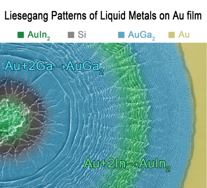 中科院理化所劉靜、王倩團隊Adv. Mater.：液態(tài)金屬的鬼斧神工，在金屬表面精雕細刻造就美妙Liesegang圖案！
